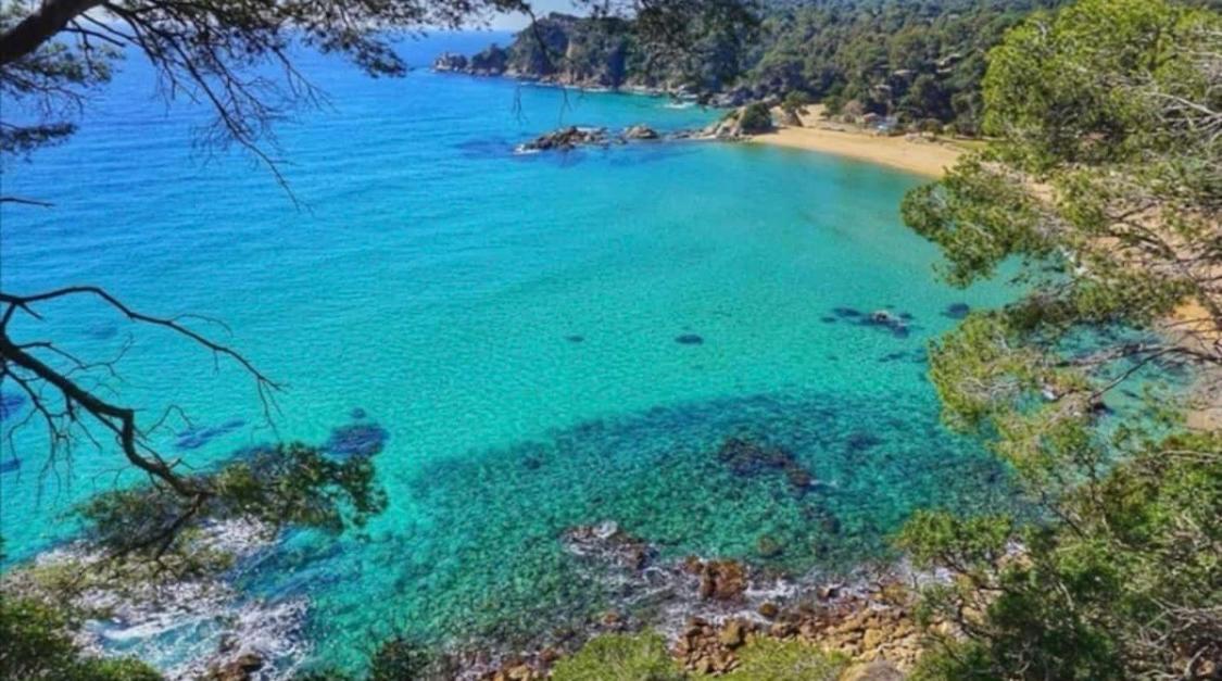 Seahomes Vacations, La Casa Blue Mediterranean Lifestyle Blanes Buitenkant foto