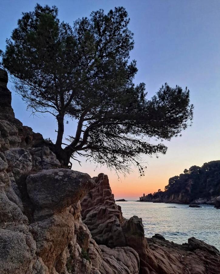Seahomes Vacations, La Casa Blue Mediterranean Lifestyle Blanes Buitenkant foto